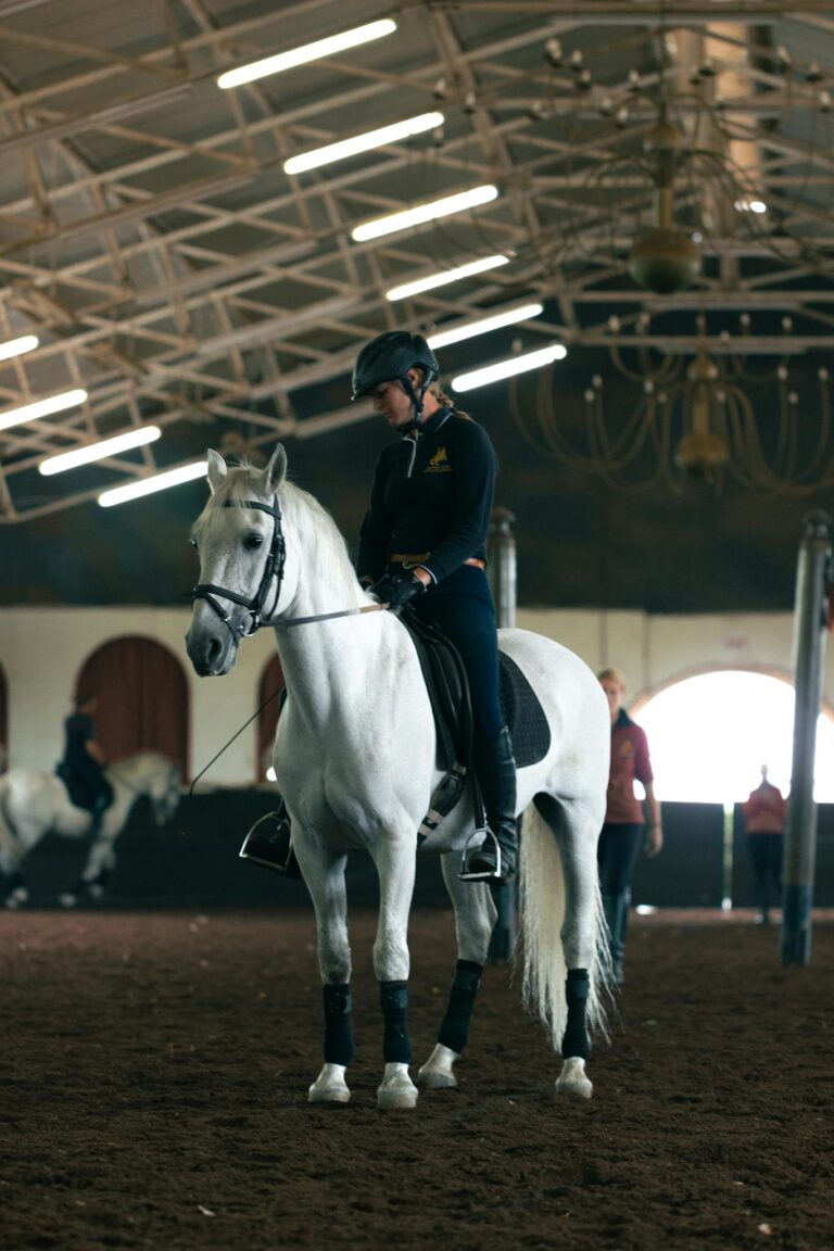 A rider trains a white horse in an indoor equestrian arena with natural lighting.