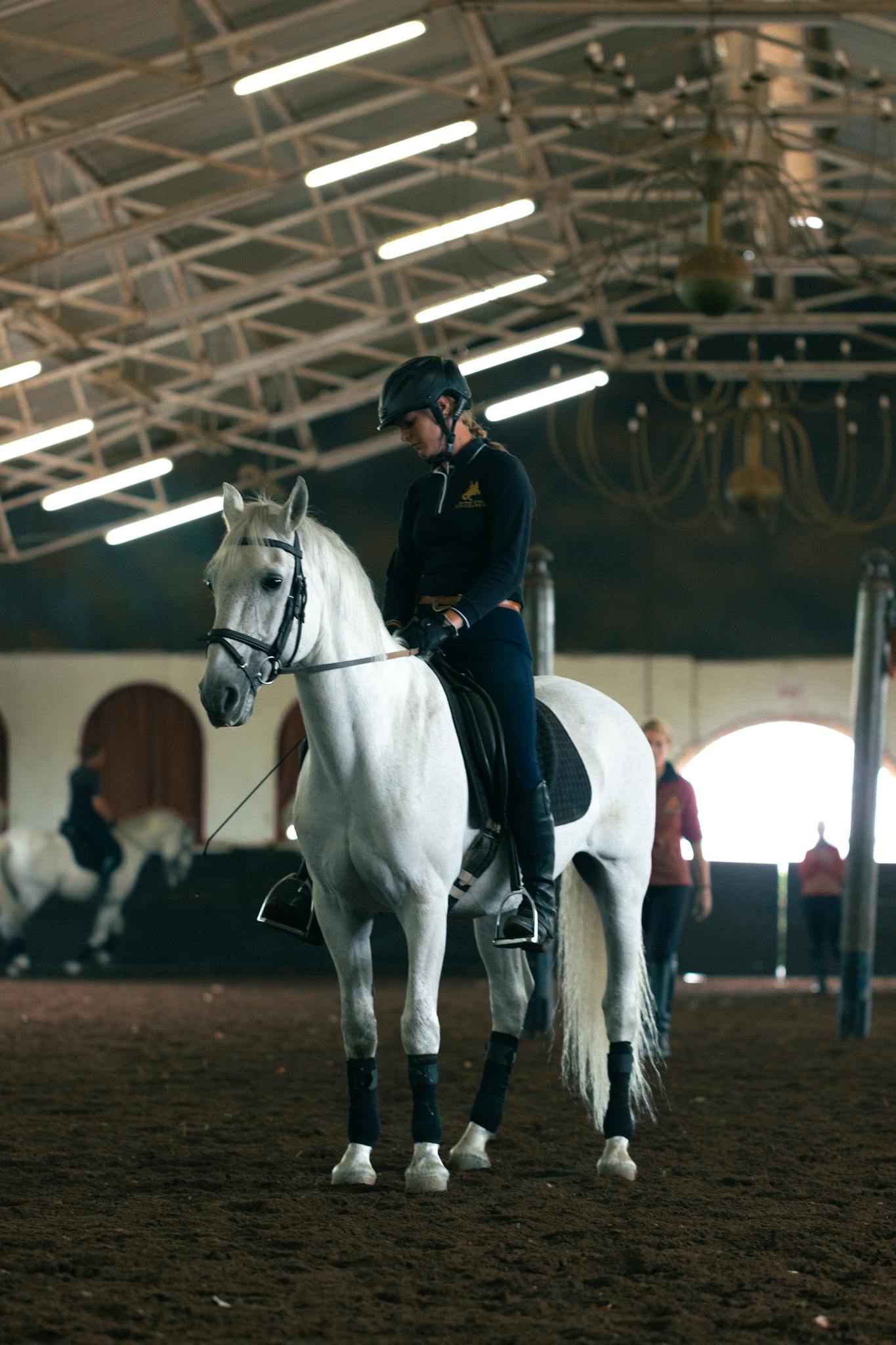 A rider trains a white horse in an indoor equestrian arena with natural lighting.