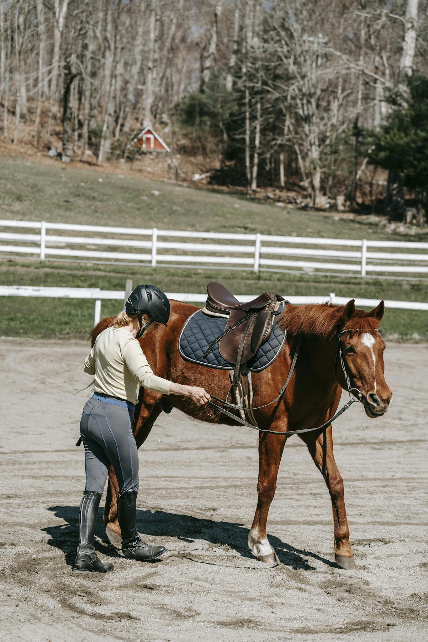 A woman guides a horse in a sandy outdoor riding arena under a clear sky.