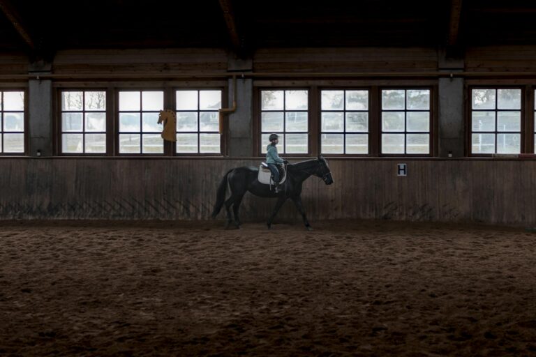 Girl riding a black horse indoors, showcasing equestrian training in a stable setting.